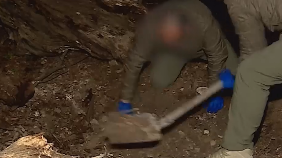 В Грузии нашли связь найденного под Тбилиси оружия с Украиной