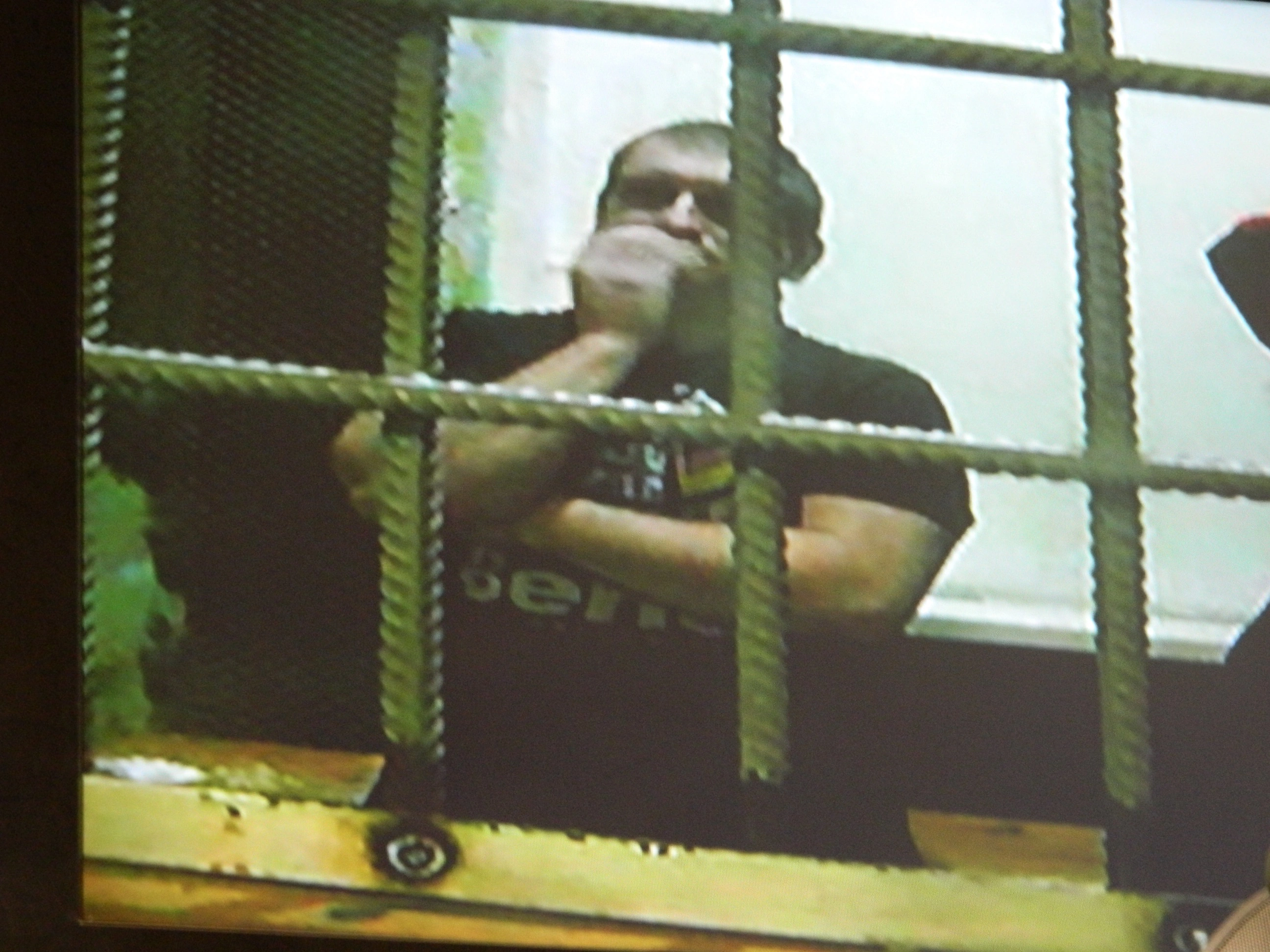 Михаил Лобанов