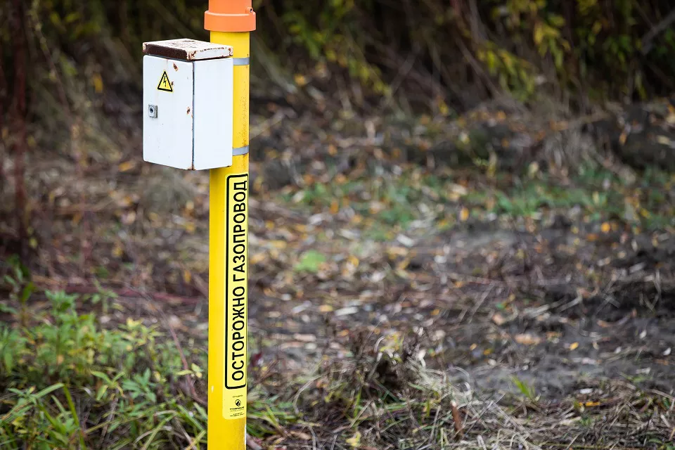 Александр Подгорчук