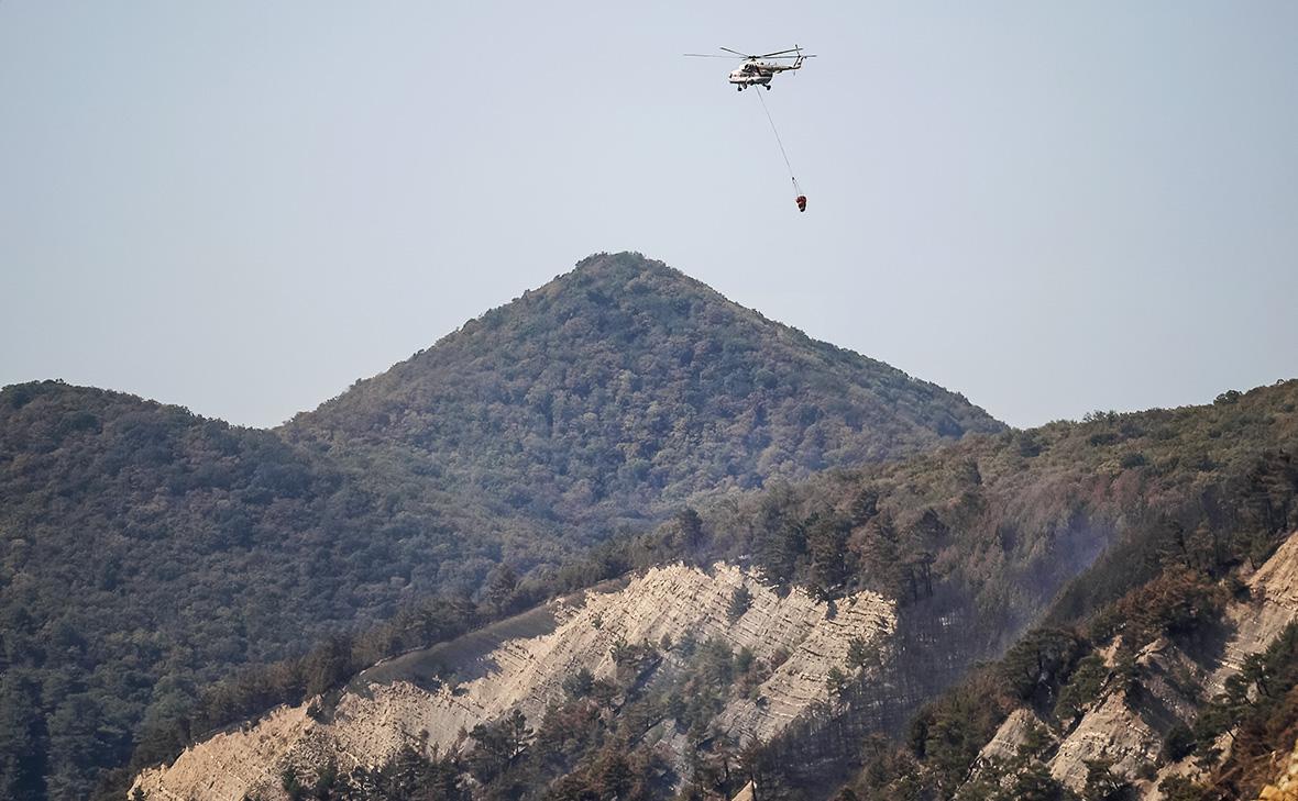 Фото: Виталий Тимкив / РИА Новости