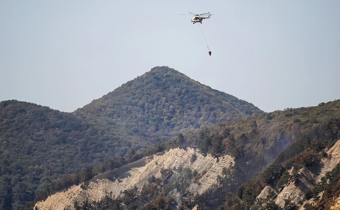 Виталий Тимкив / РИА Новости