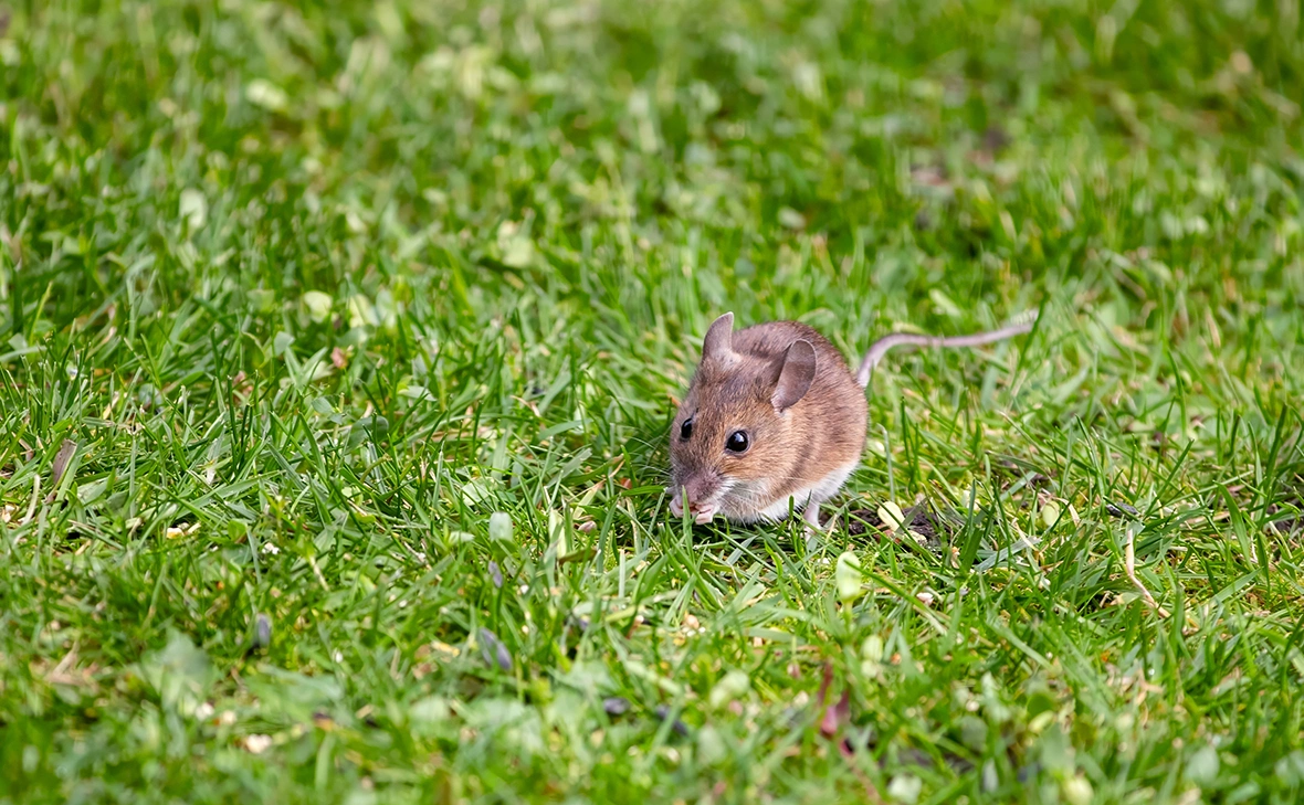 Jane Rix / Shutterstock