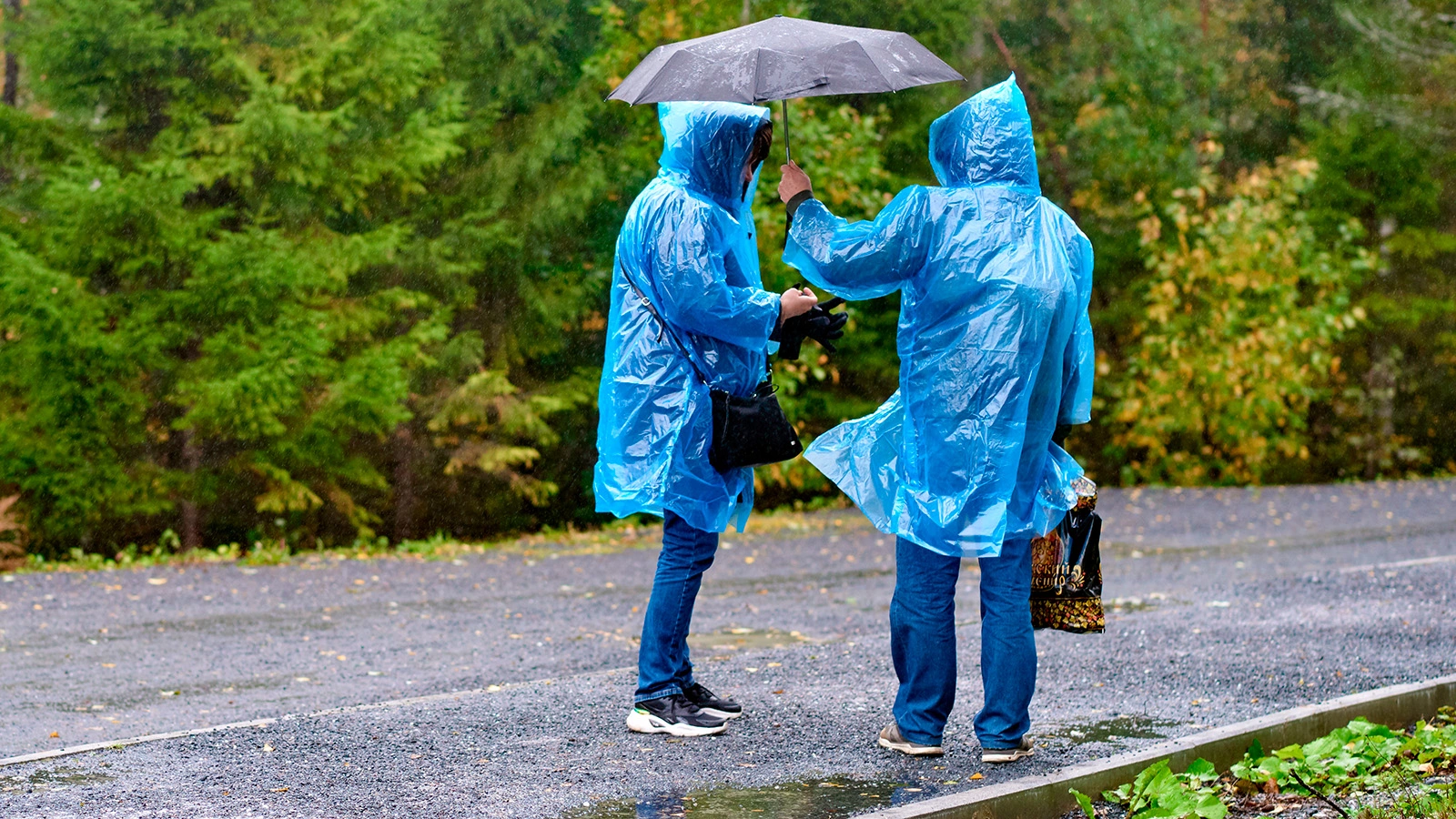 Посетители в парке Рускеала