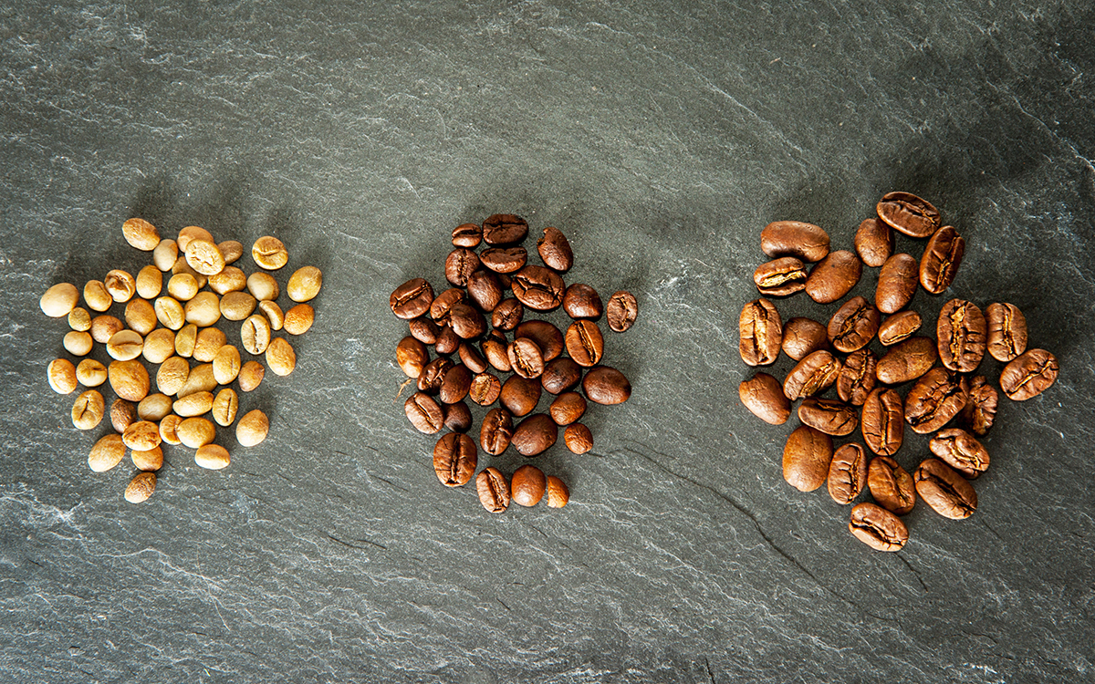 Три разных вида кофе: сырая робуста, жареная арабика, марагоджип