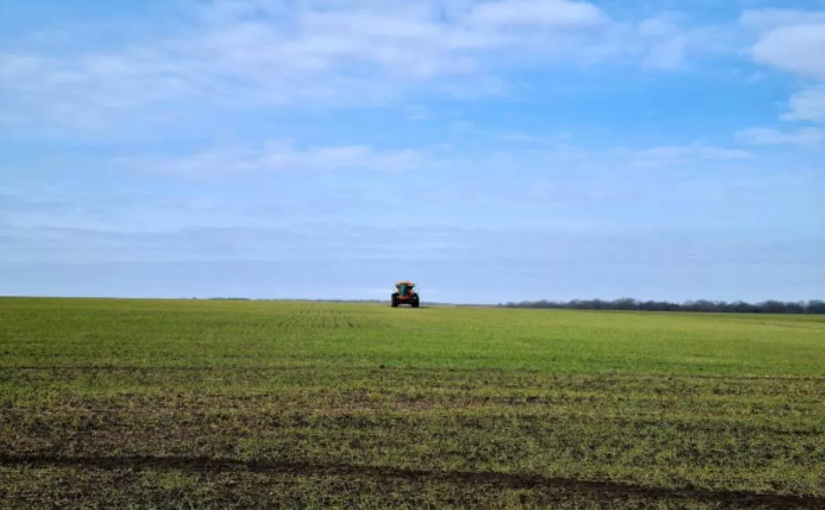 РБК Черноземье