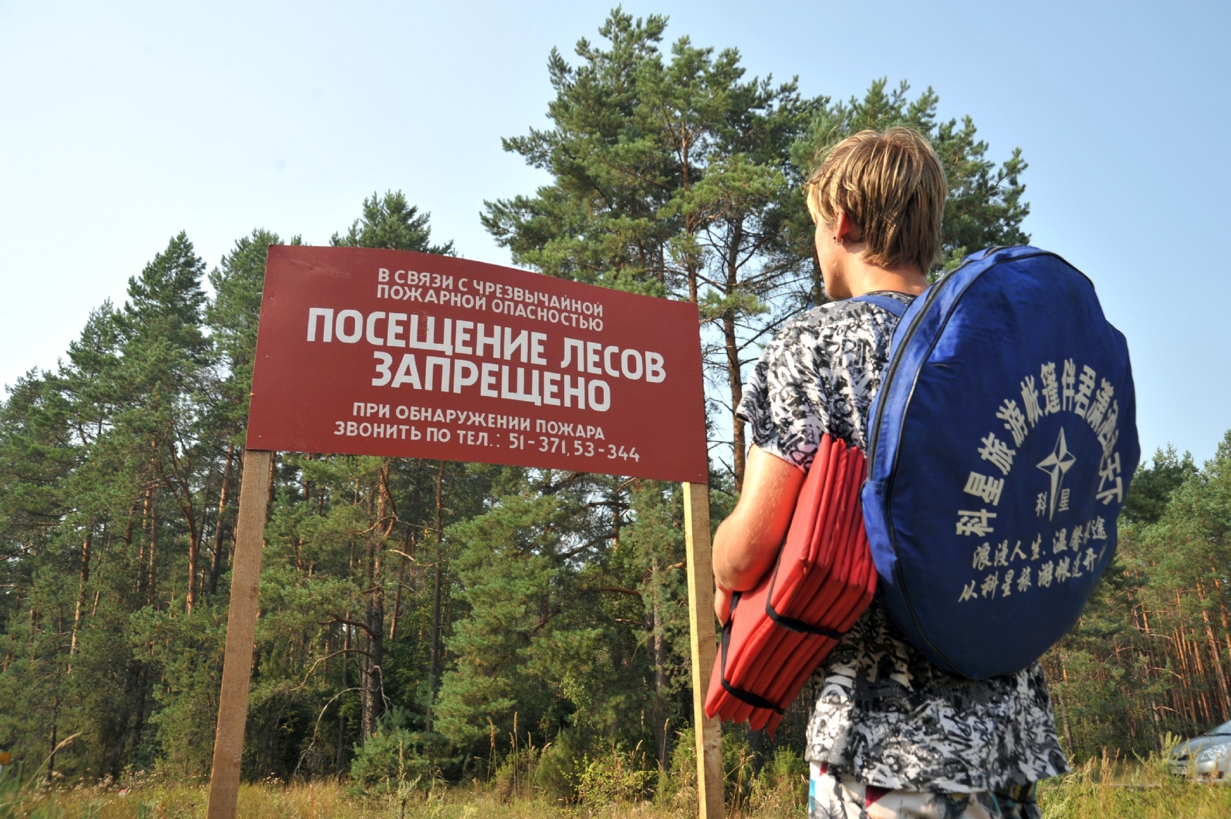 Ленинградская область ввела полный запрет на посещение лесов — РБК