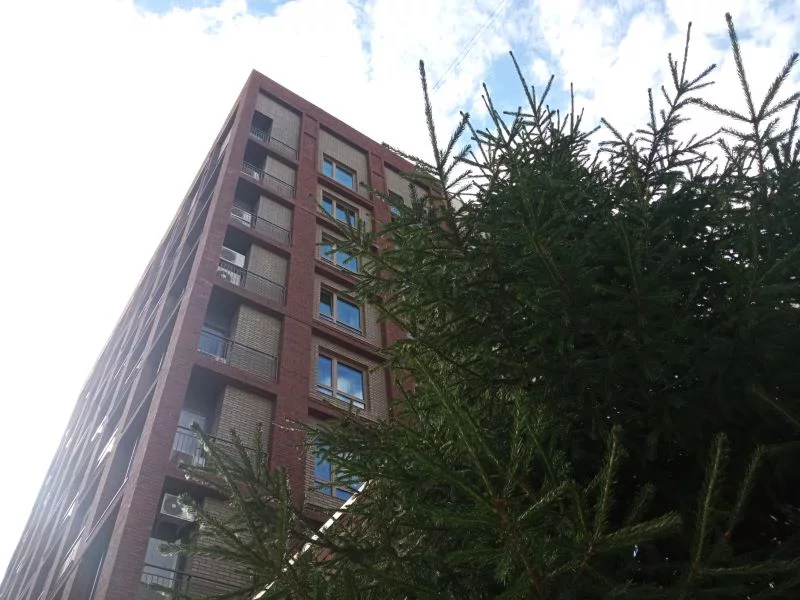 РБК Новосибирск