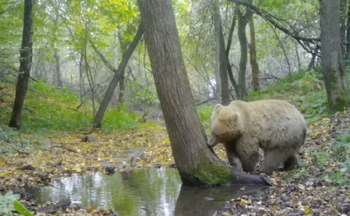 Национальный парк "Башкирия"