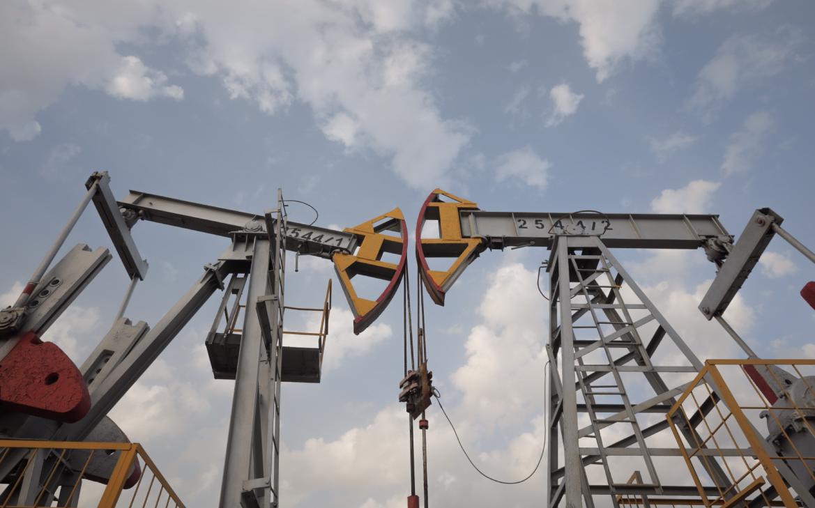 Нефтегазовые доходы упали на 25%. Снизит ли Россия зависимость от нефти