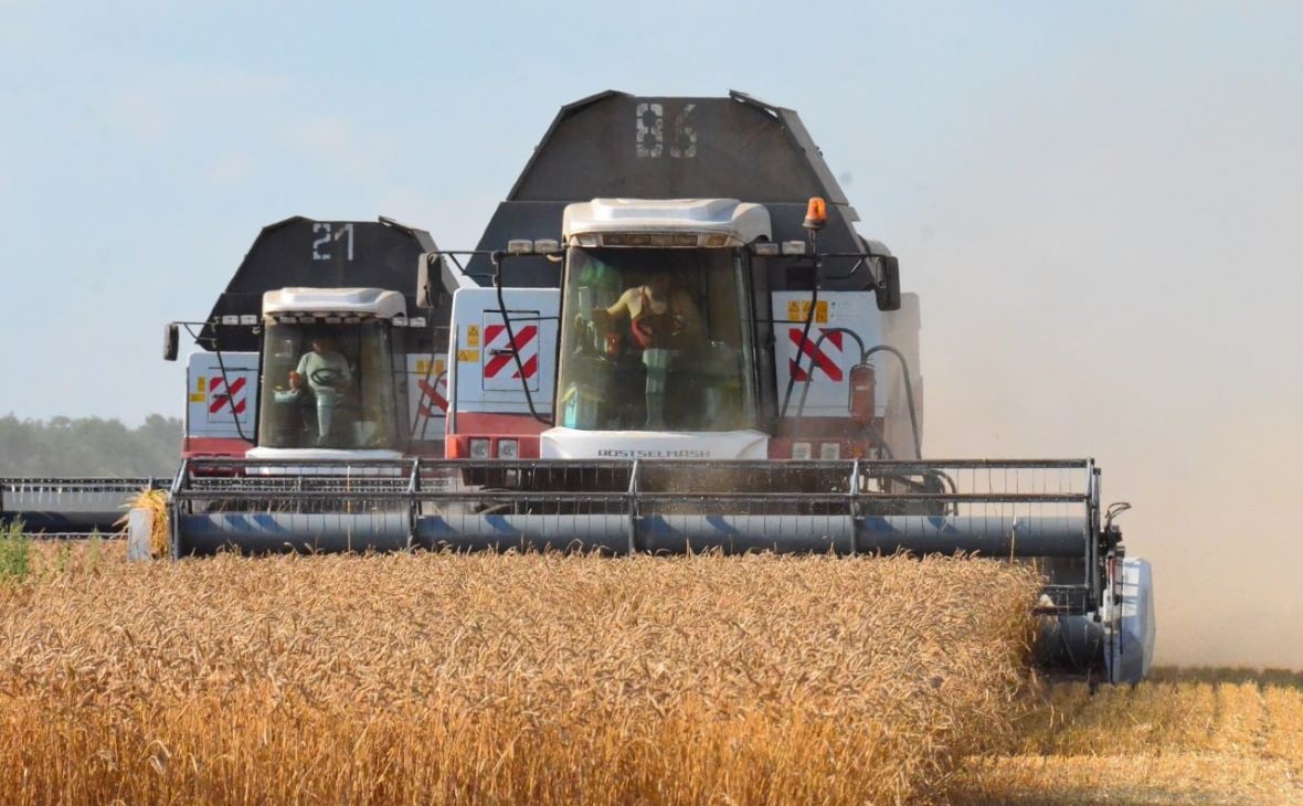 Фото: Пресс-служба министерства сельского хозяйства и проовольствия Ростовской области