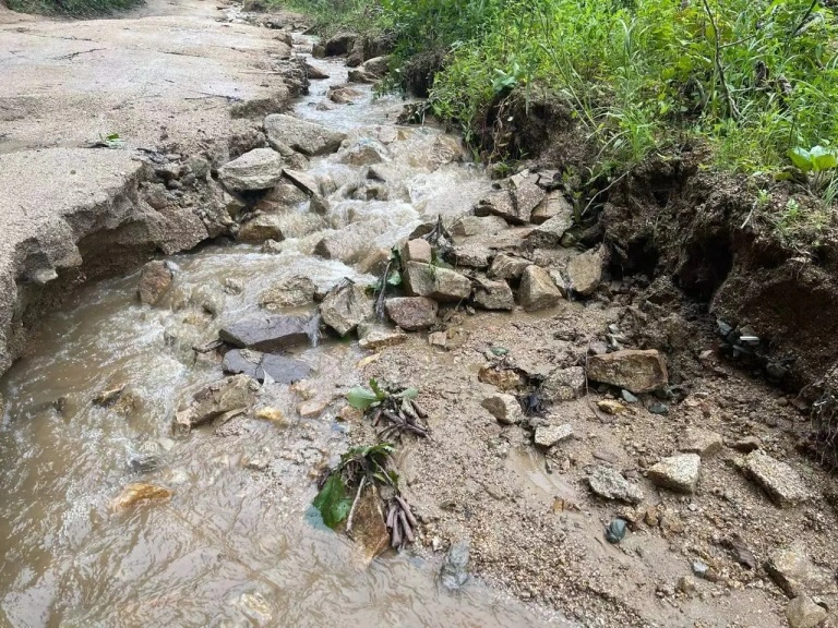 РБК Приморье