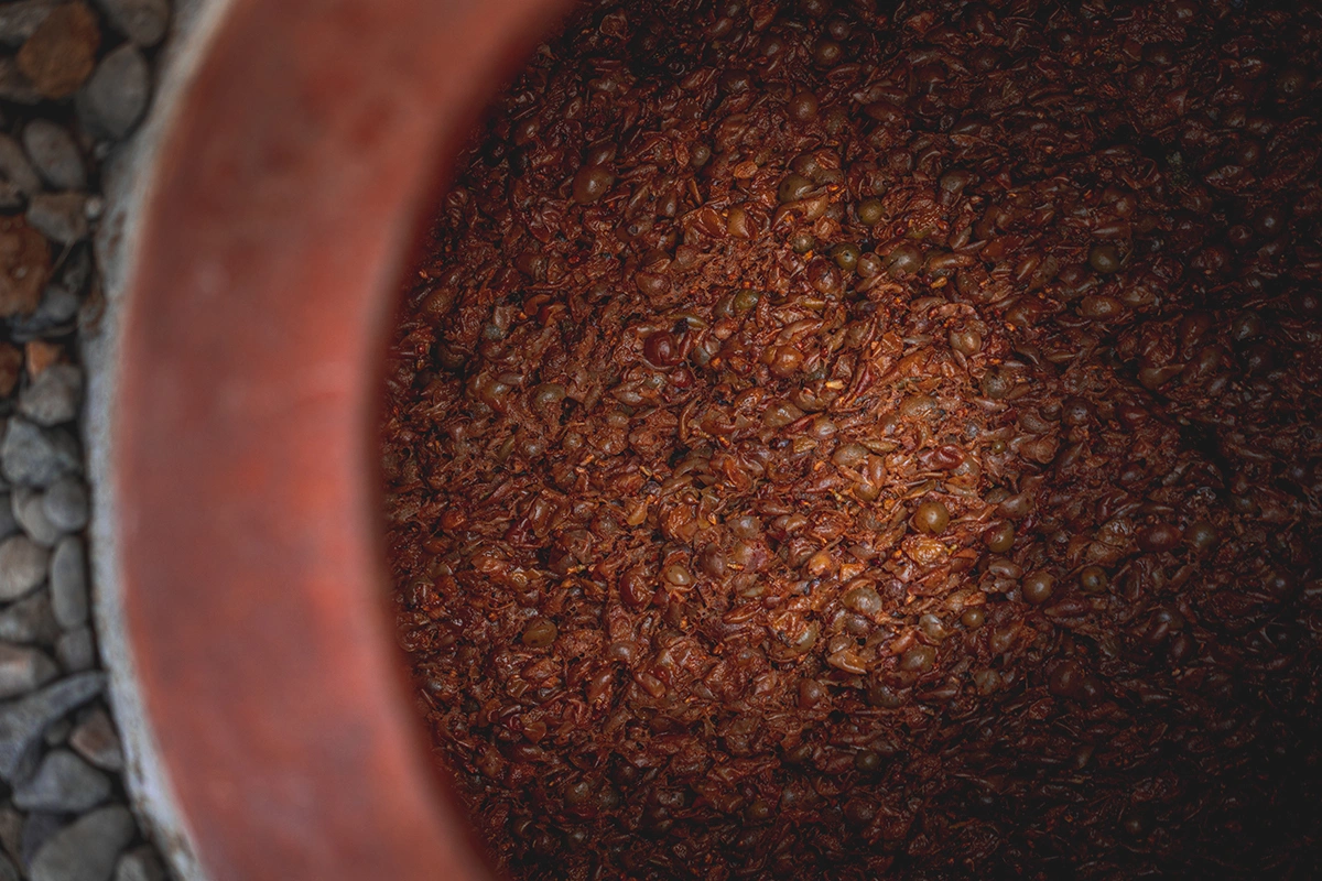 Для граппы используют именно виноградный жмых, который остается после производства вина