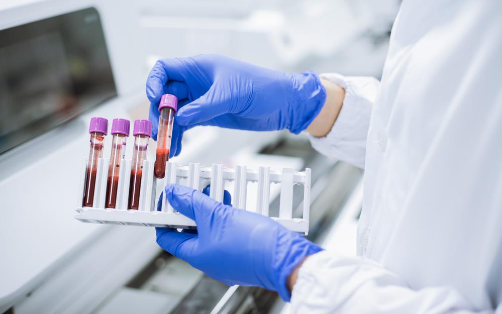 Фото: Shutterstock