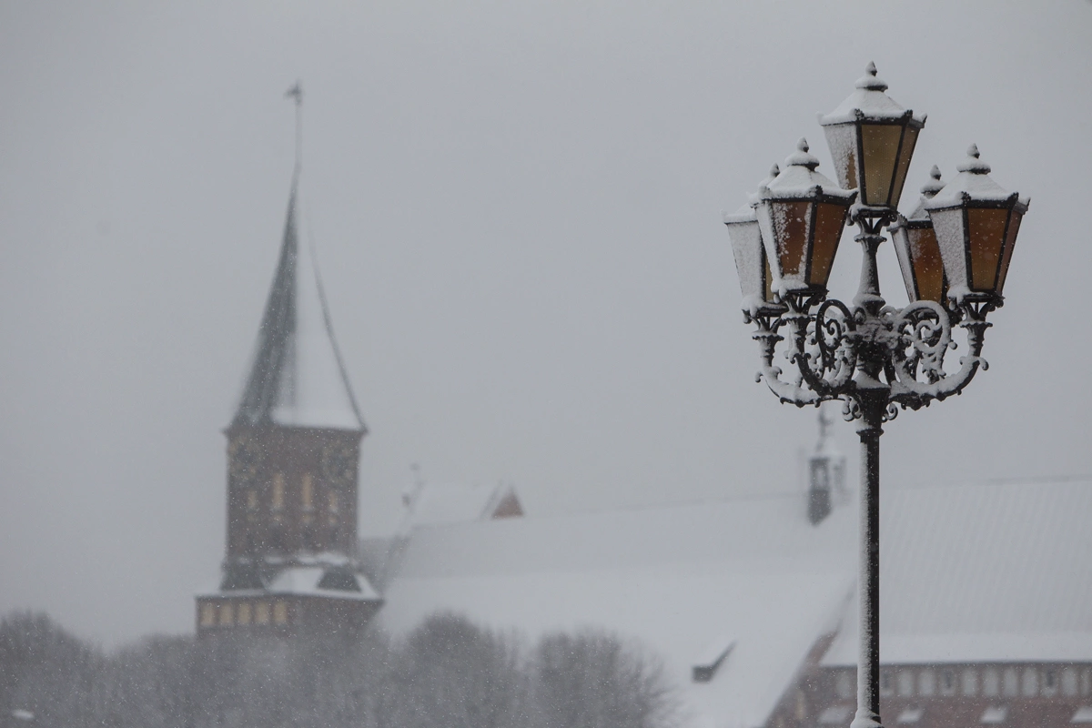 Александр Подгорчук