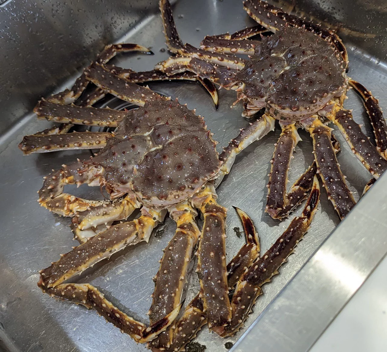 РБК Приморье 