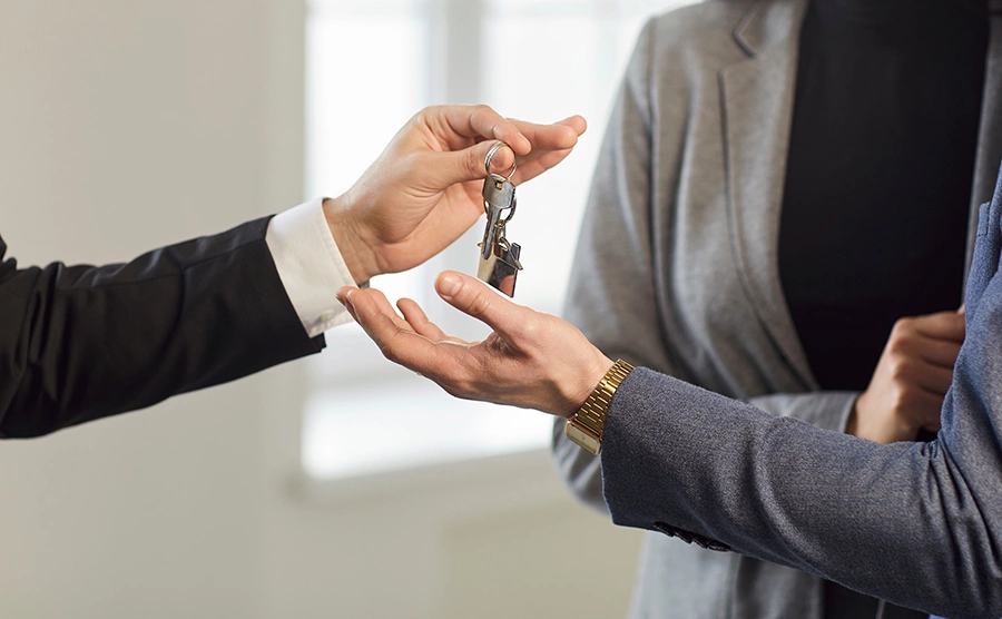 Studio Romantic / Shutterstock