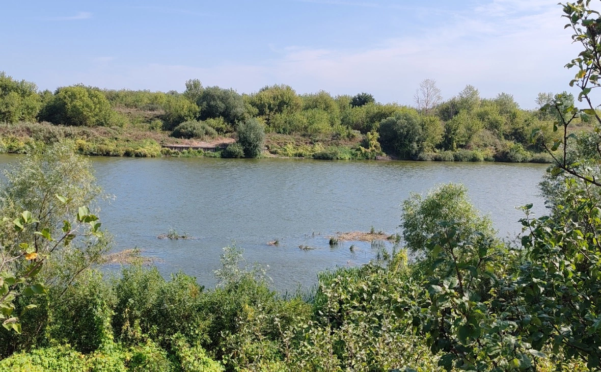 РБК Черноземье