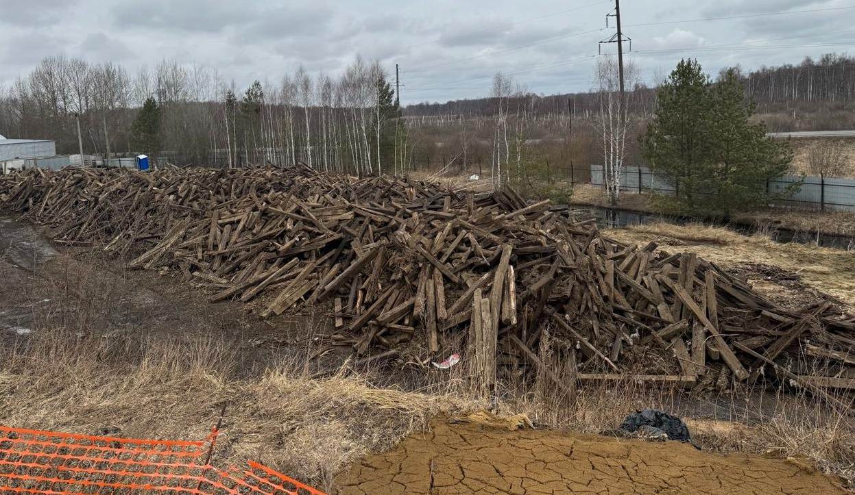 Фото: Пресс-служба управления Росприроднадзора по Нижегородской области и Республике Мордовия