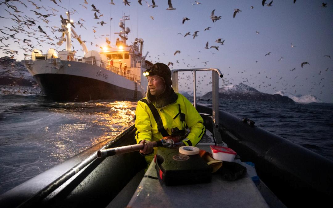 Биолог Аудун Рикардсен на севере Норвегии