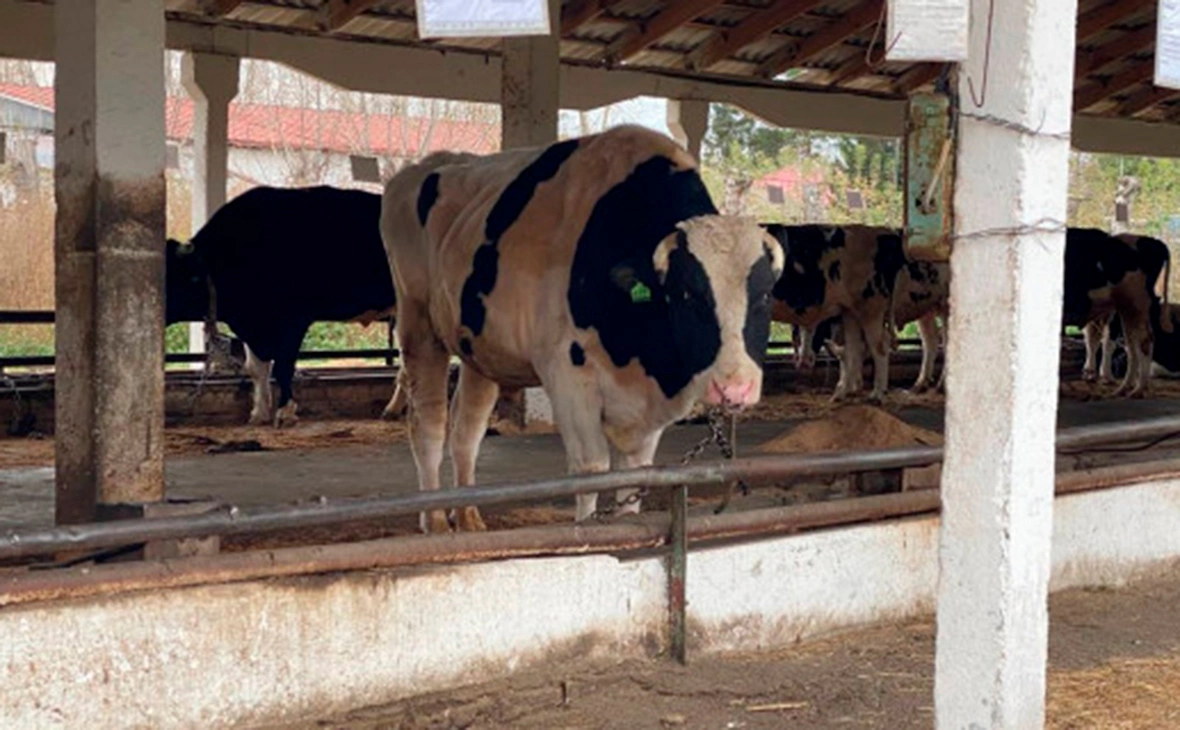 Правительство Новосибирской области