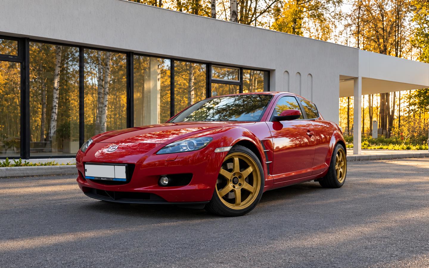 «Сразу отложите на «капиталку». Стоимость содержания 20-летней Mazda RX-8