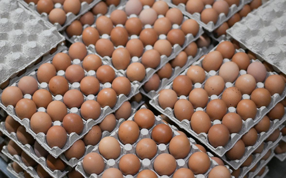 «Азбука вкуса», «Глобус» и «Верный» ограничили наценку на куриные яйца