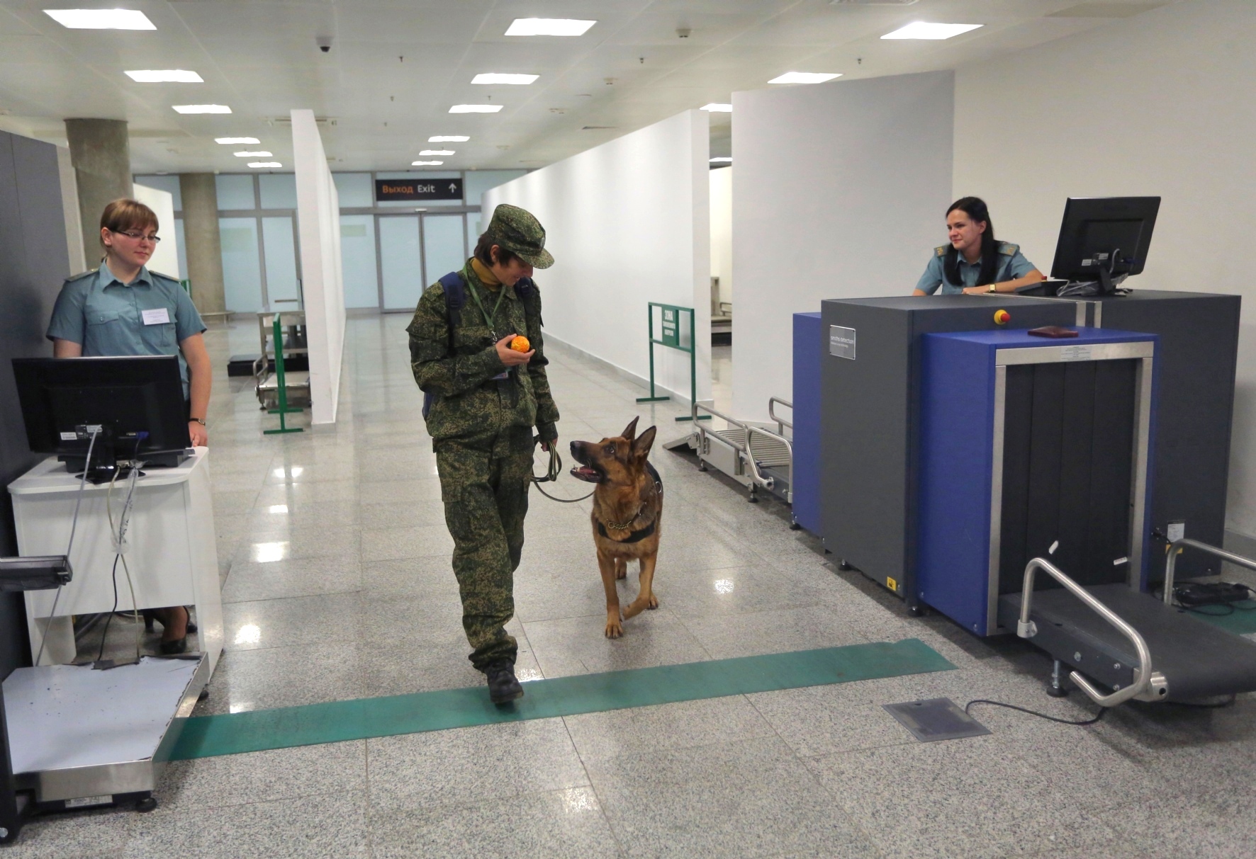 Фото: Холявчук Светлана/PhotoXPress.ru