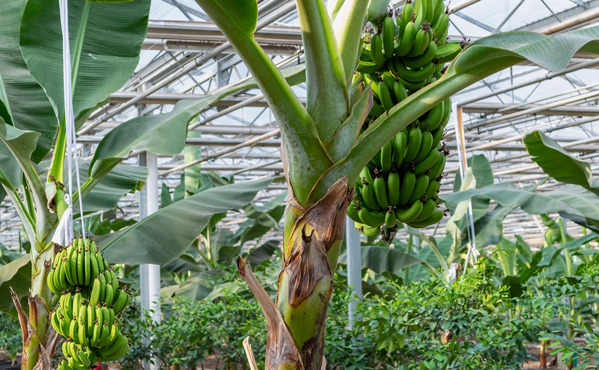 Mirko Kuzmanovic / Shutterstock