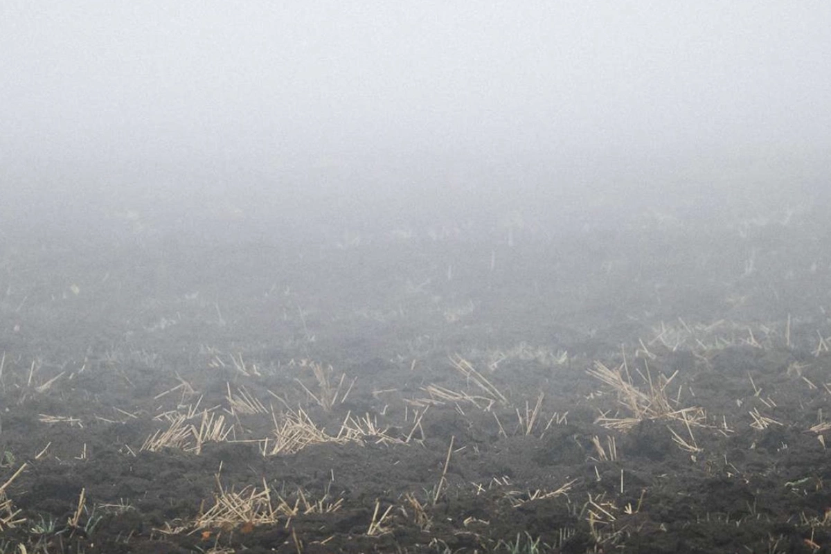 Почва — память земли. В ее глубинах покоятся отложения древних морей и рек, перегной лесов и крошево горных пород. Лоза черпает из этого архива силы, спуская корни все глубже. Почва не диктует напрямую вкус вина, но задает тональность, в которой зазвучит сорт