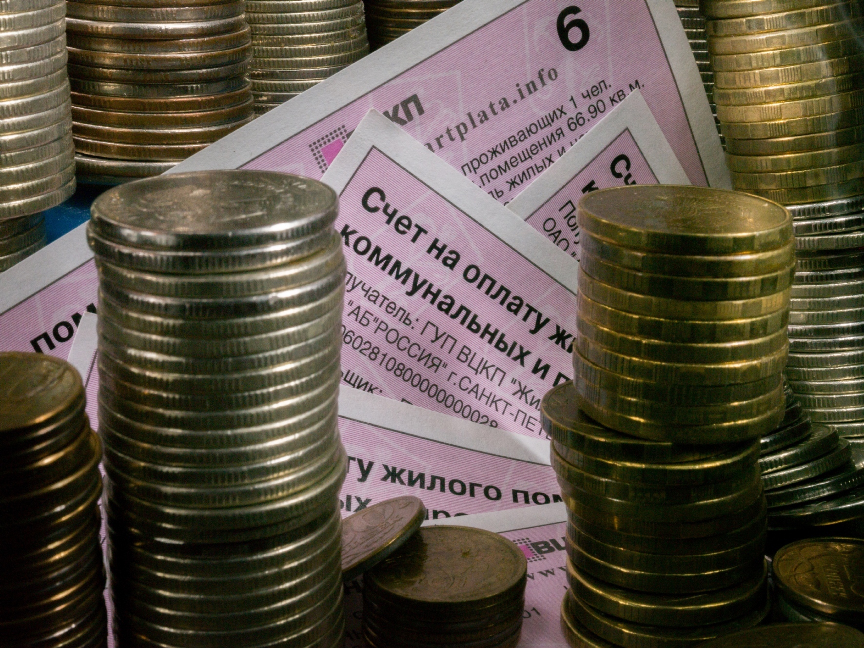 Фото: PhotoXPress.ru