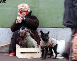 В РФ стало в 5 раз больше бедных, чем 10 лет назад