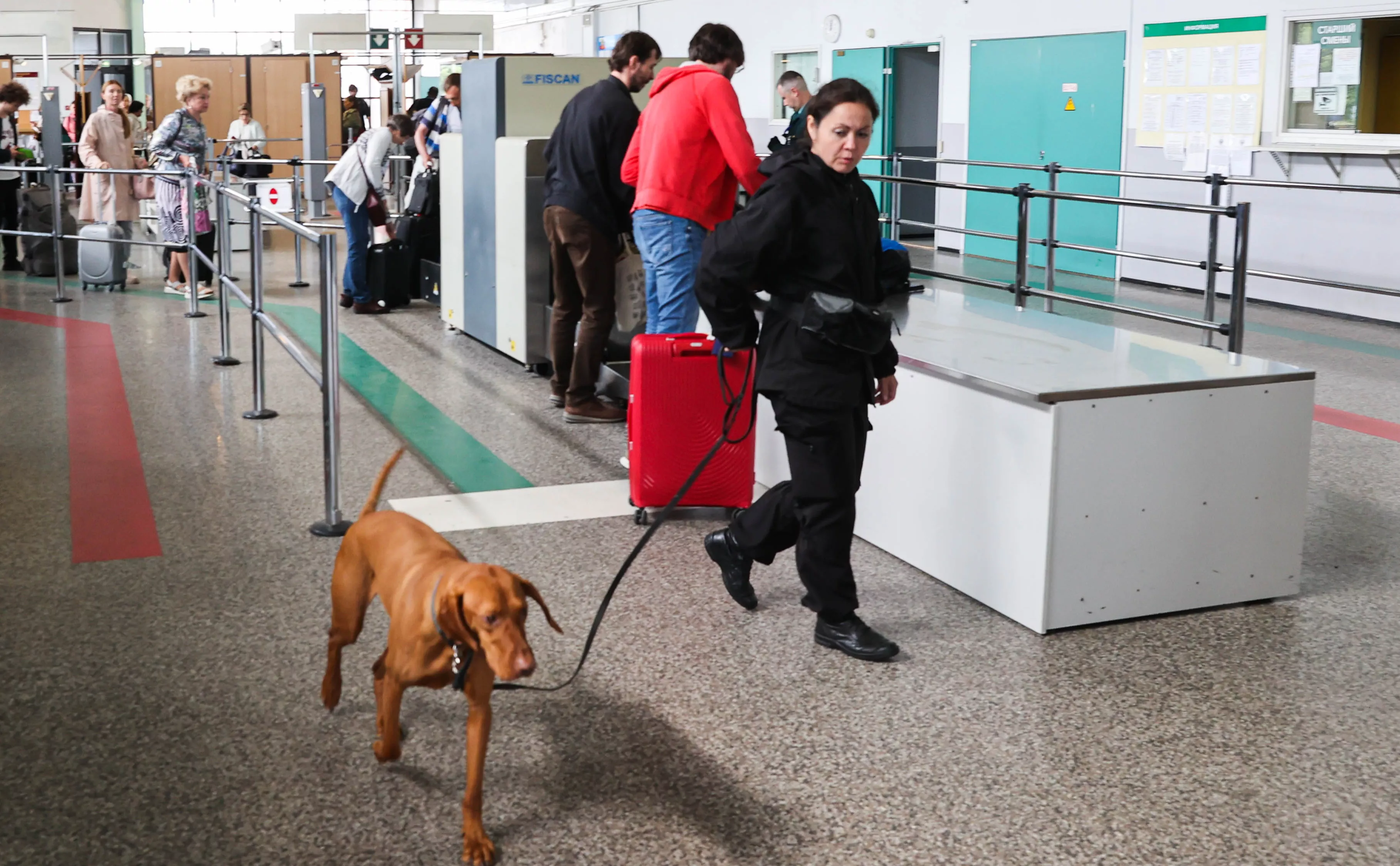 Александр Демьянчук / ТАСС