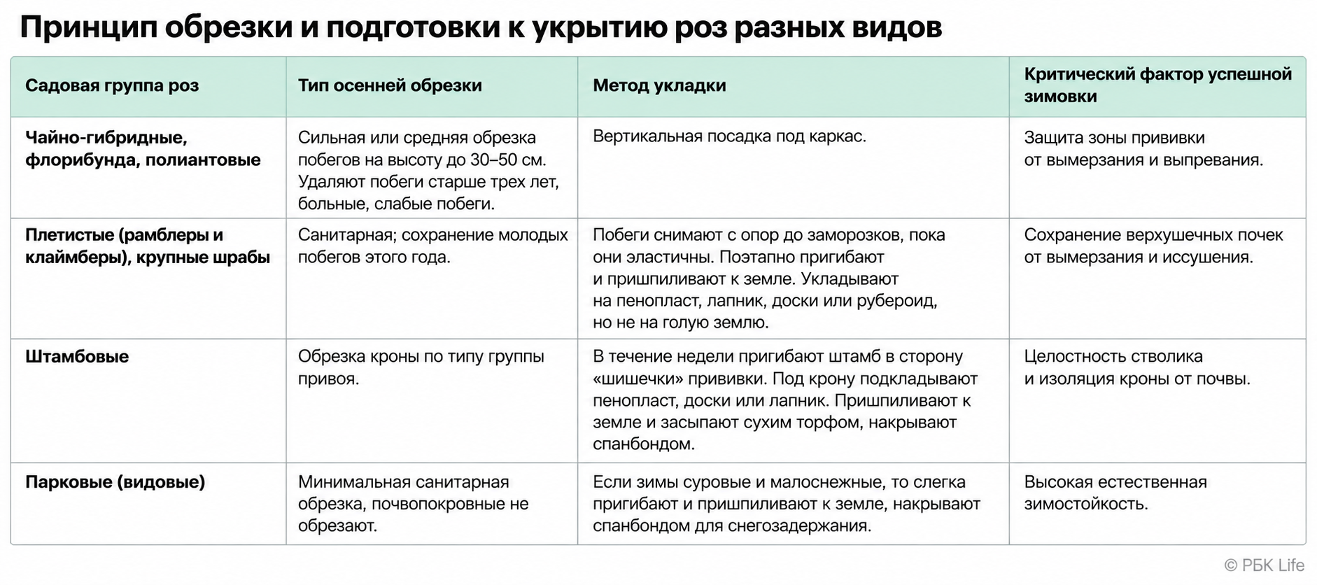 Обрезка и подготовка роз к зиме зависит от их вида