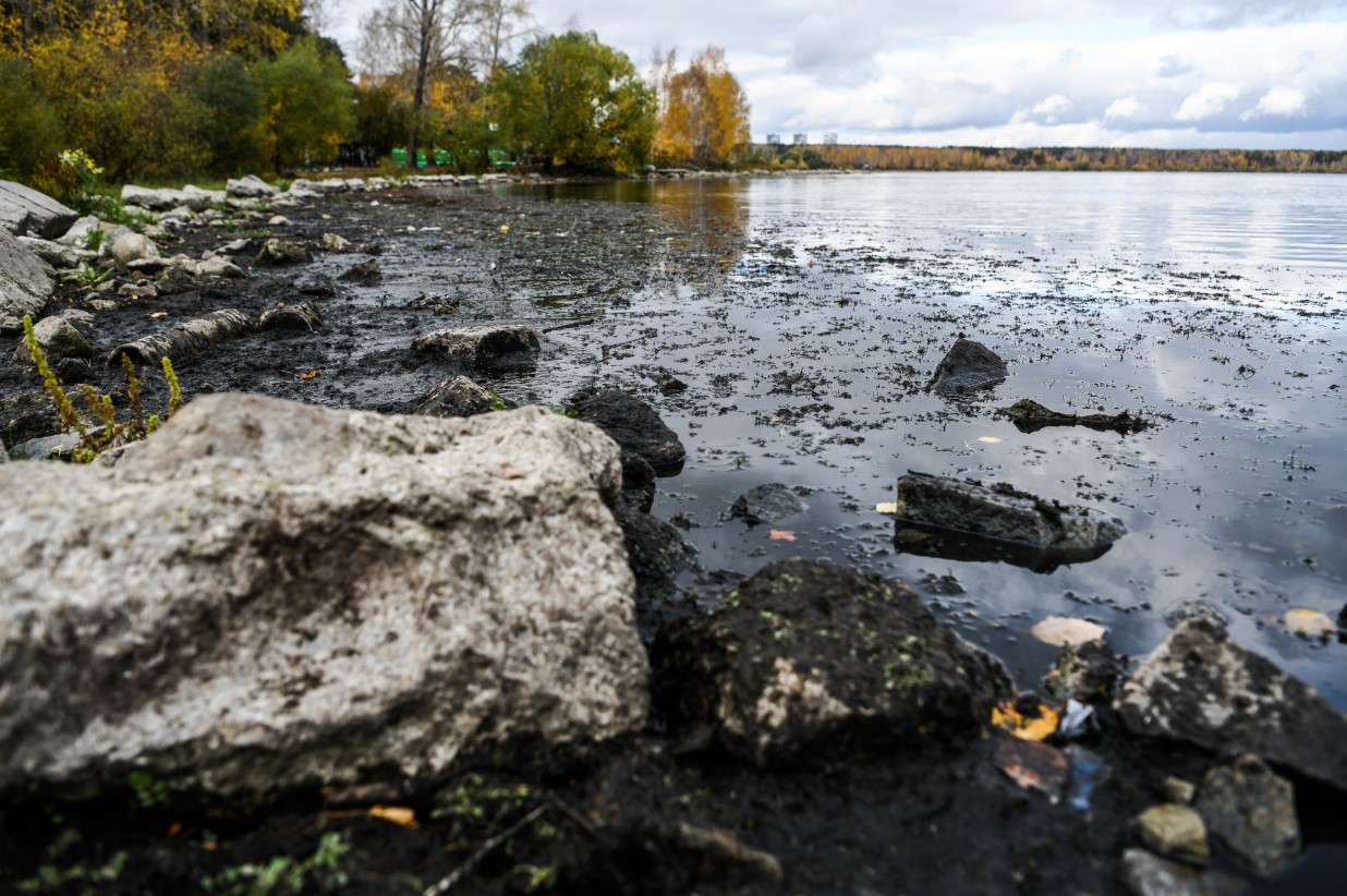 Фото: Владимир Жабриков/ РИА URA.RU