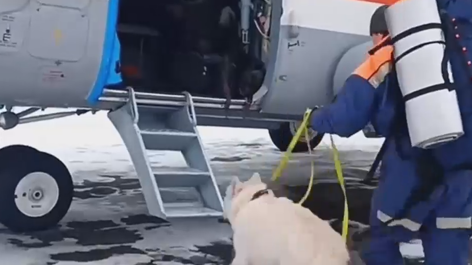 На поиски пропавших туристов на Камчатке отправили вертолет