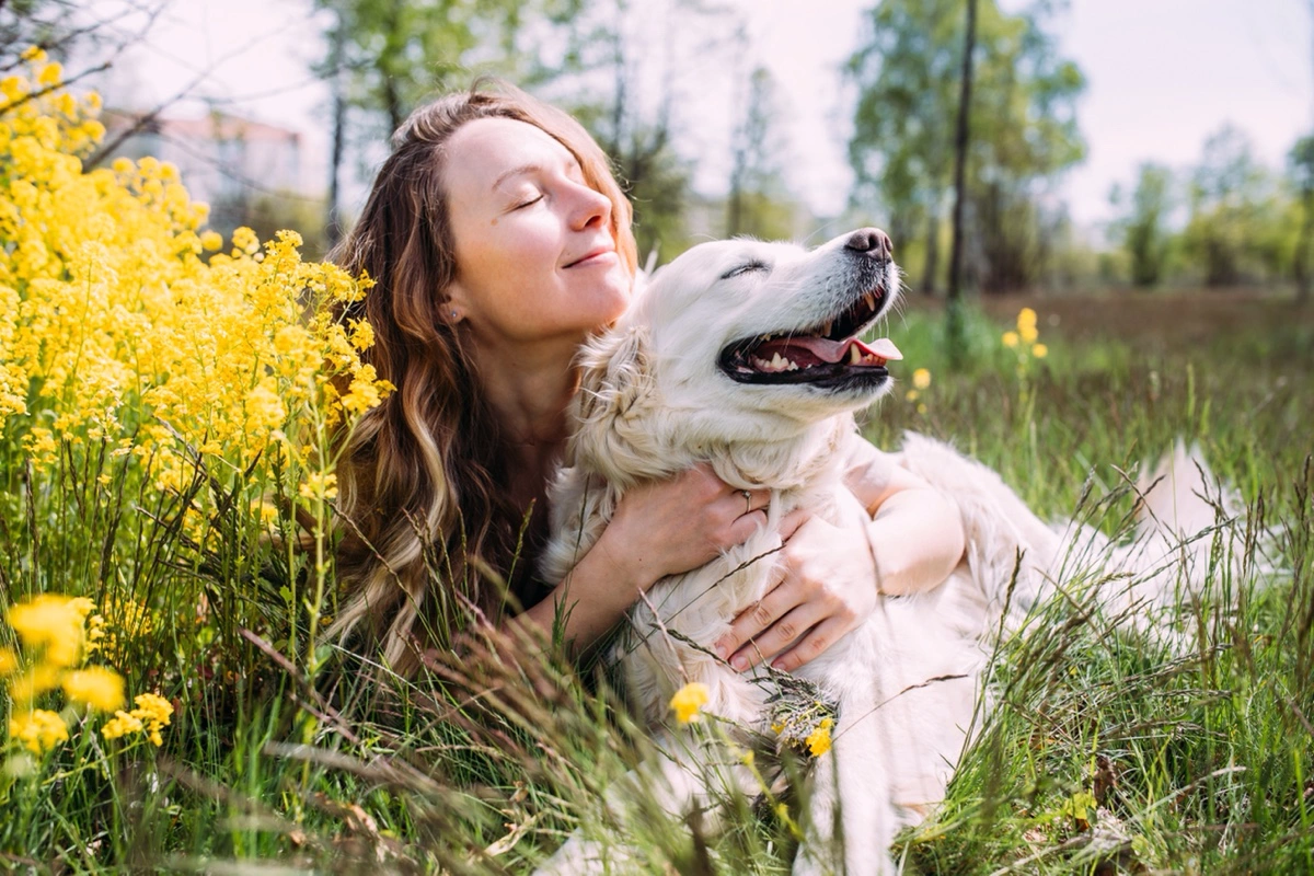 Какие клички сейчас дают собакам. 10 самых модных и редких