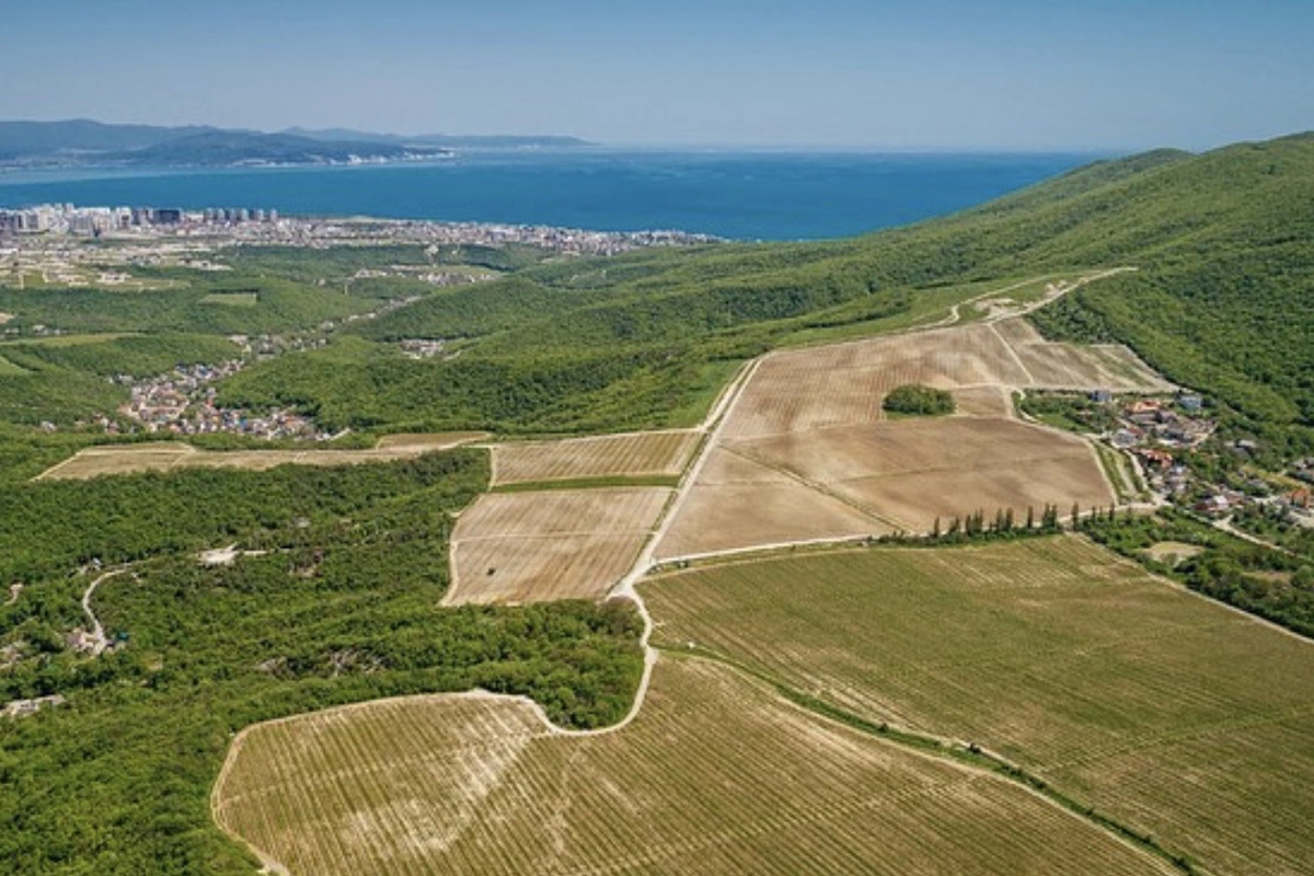 «Шато Пино»