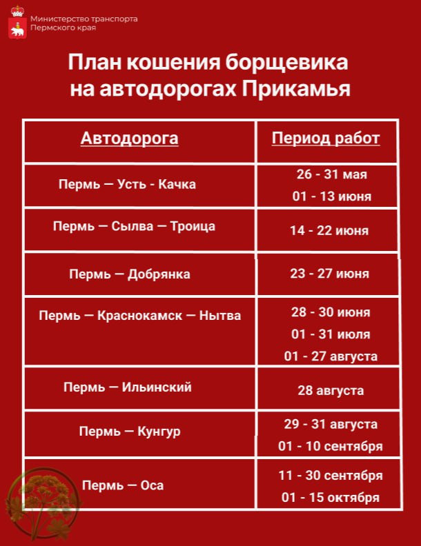 Фото: Минтранс Прикамья