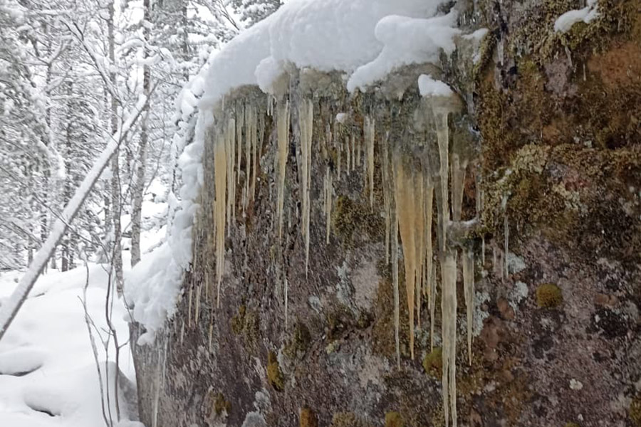 Фото: Алексей Исиченко / РБК
