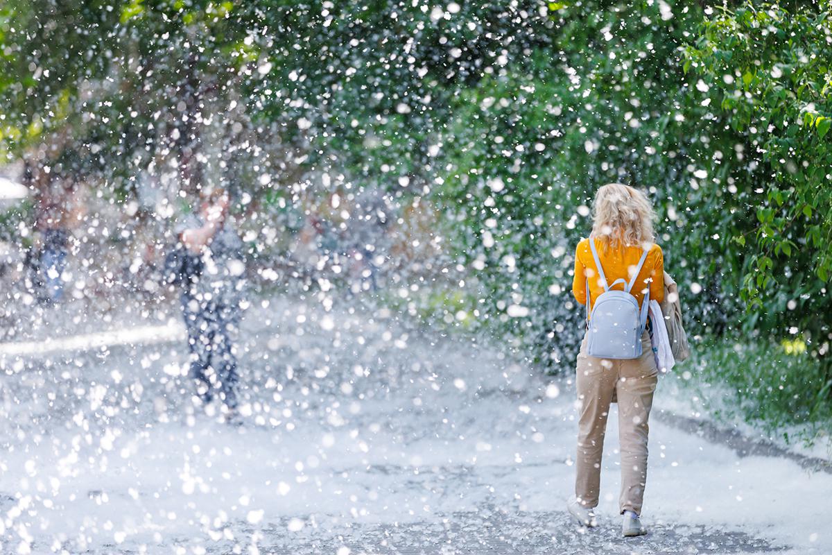 Фото: Den-T / Shutterstock / FOTODOM