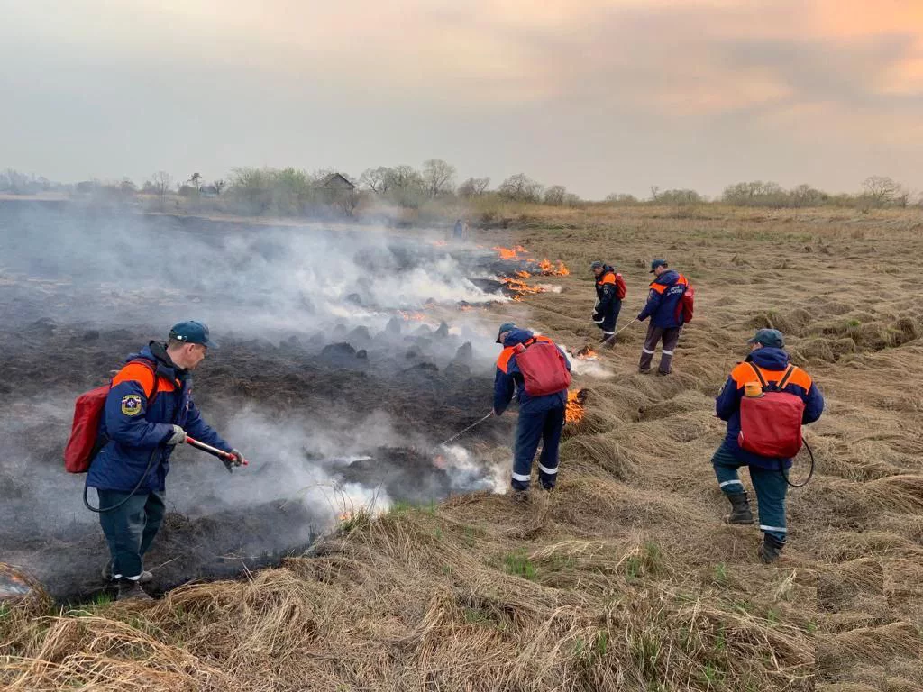 Правительство Хабаровского края