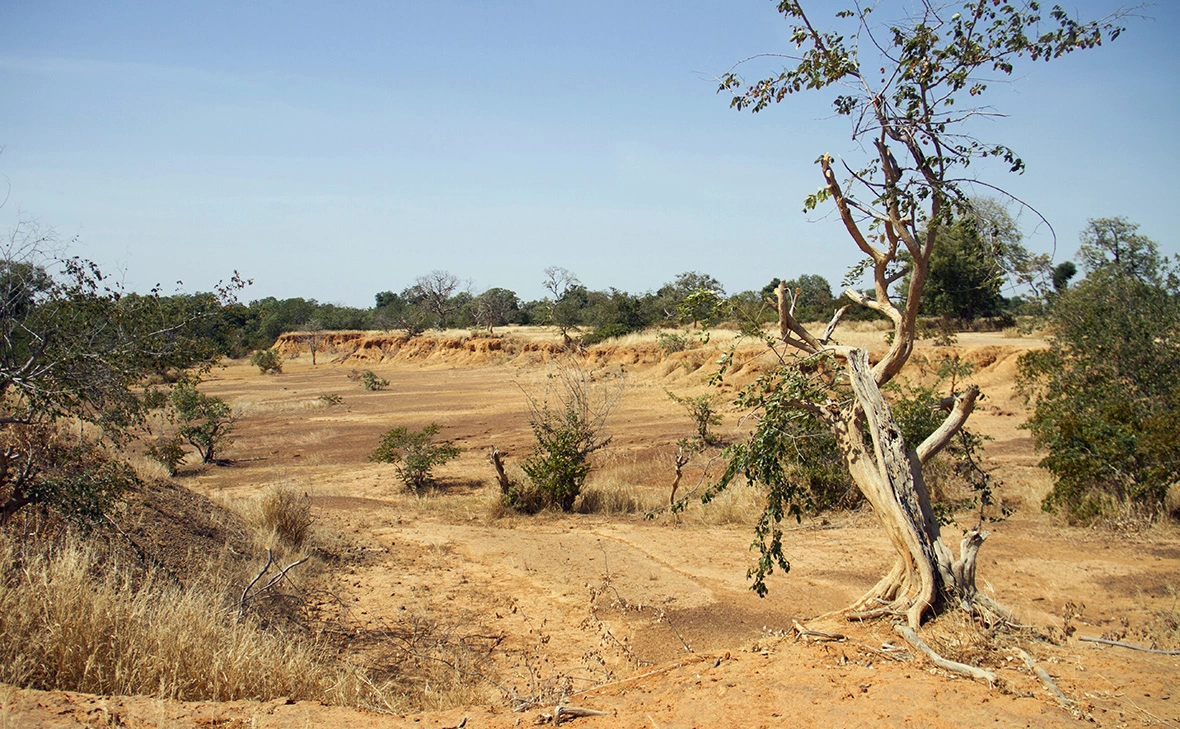 Arouna Sissoko / Reuters