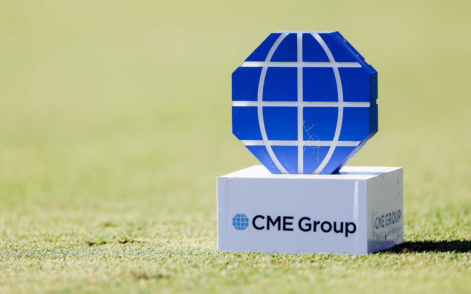 Фото: Michael Reaves / Getty Images