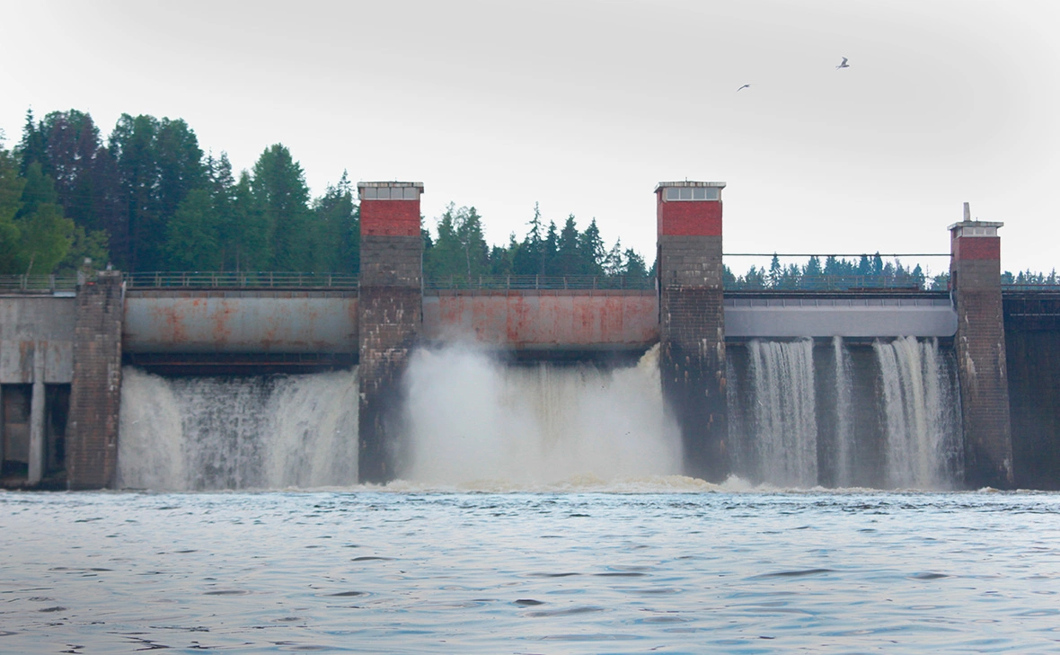 Maria_Andreevna / Shutterstock