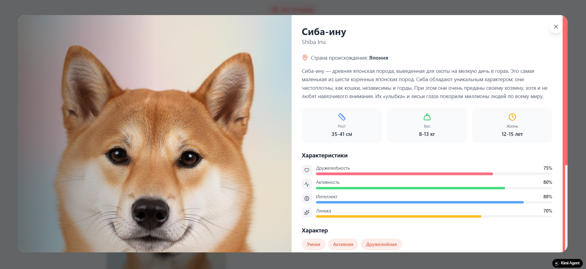 Интерфейс сайта о породах собак, созданный Kimi по запросу

