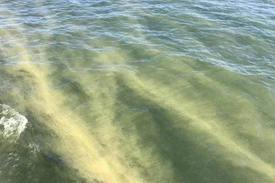 «Погода и метеоявления в Калининградской области»