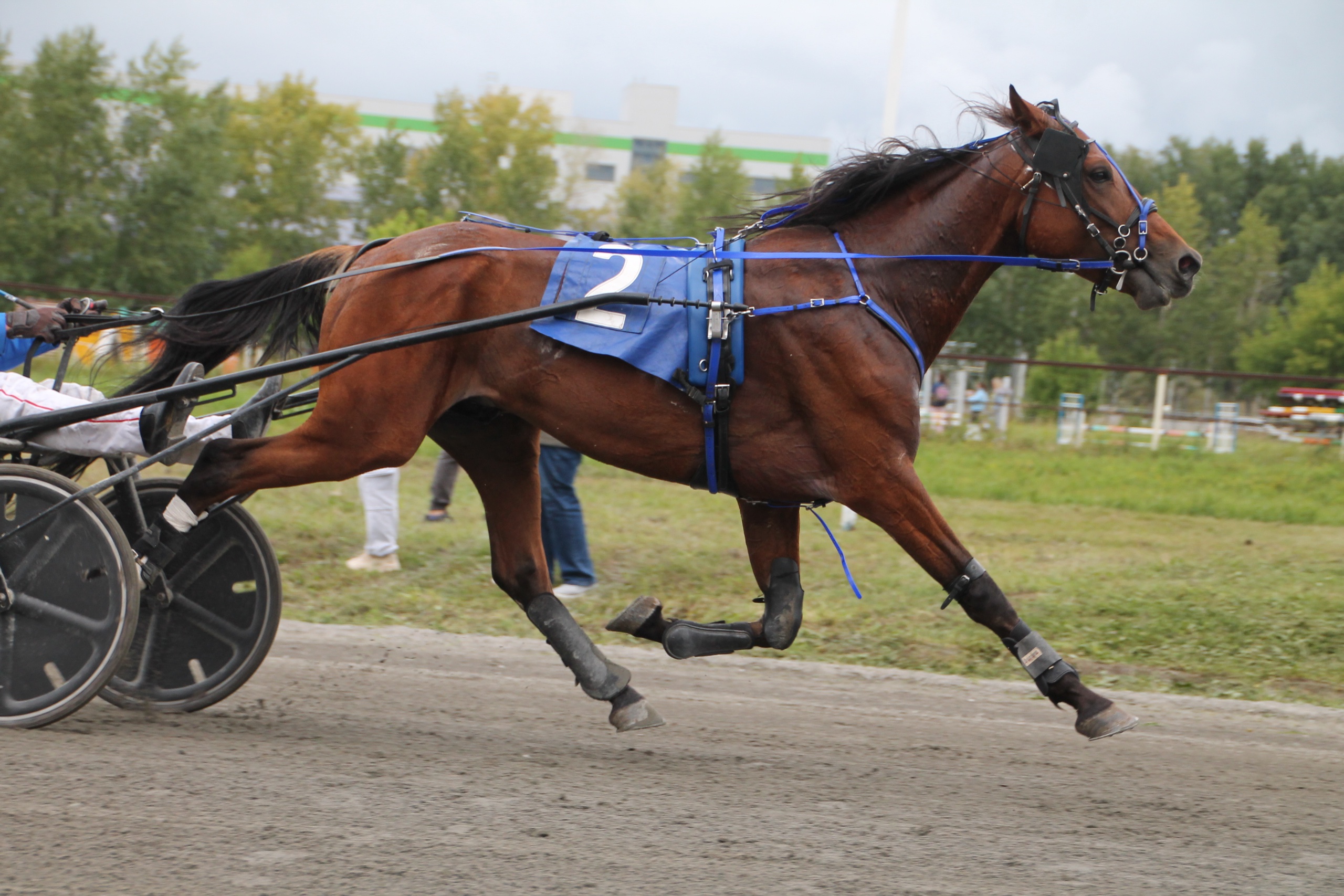 Фото: Ольга Дерюшева