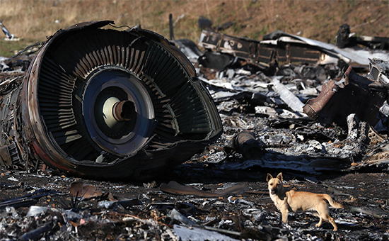Обломки пассажирского самолета &laquo;Малайзийских авиалиний&raquo; Boeing&nbsp;777, разбившегося 17 июля в&nbsp;районе села Грабово


