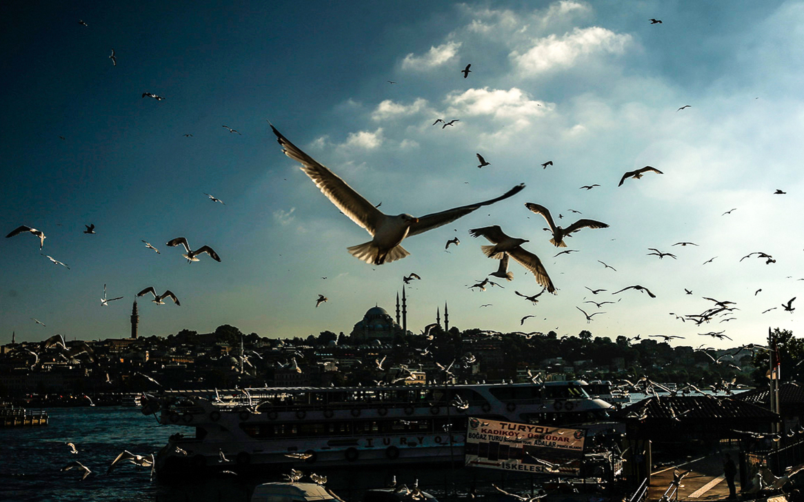 Полет в турцию