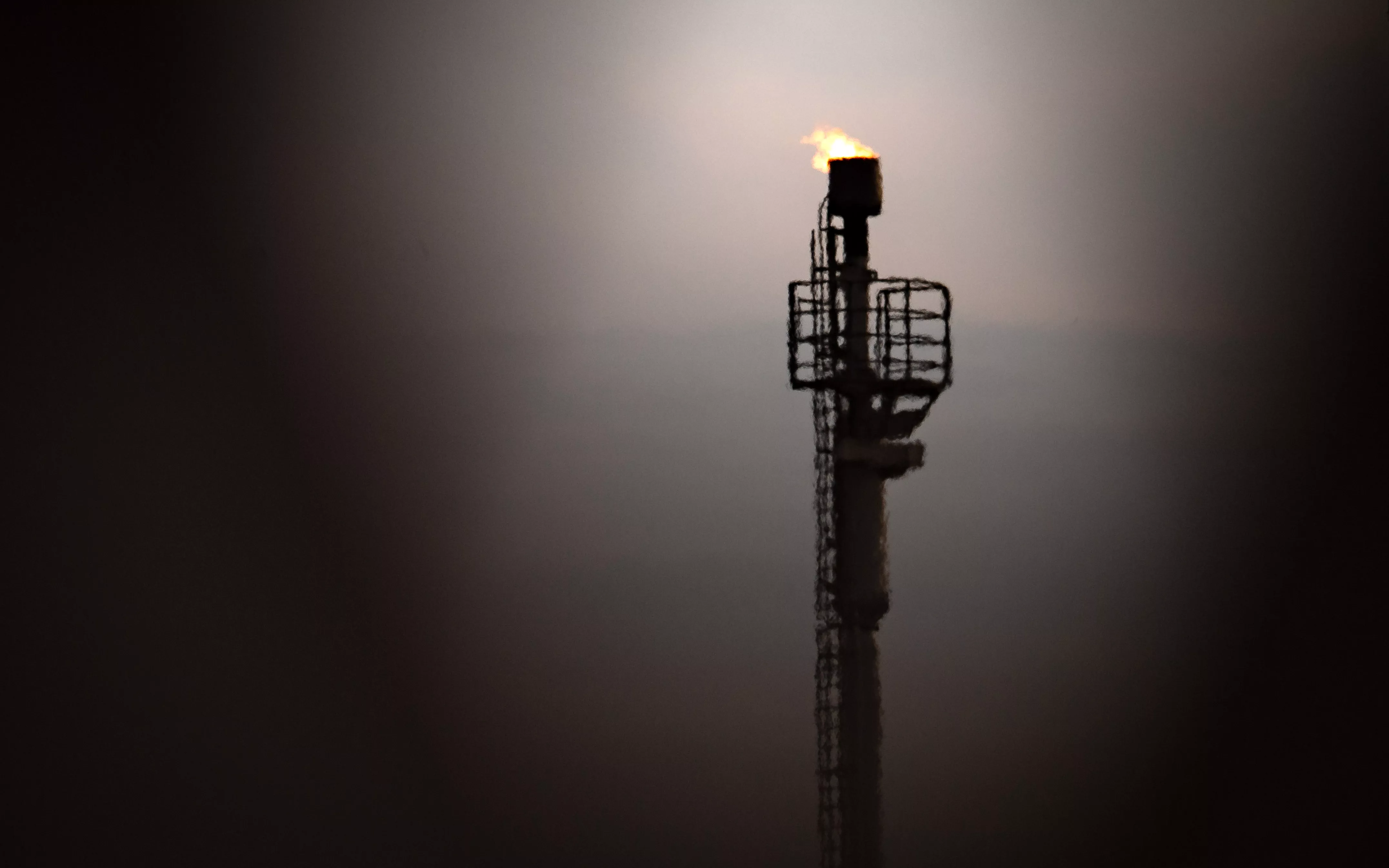 Sina Schuldt / dpa / picture-alliance / ТАСС